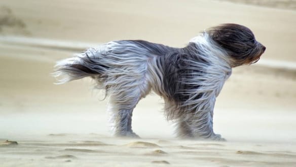 Ősz az Ayurvédában